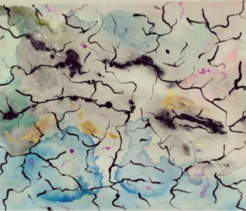 Sylvie Schepens Artiste peintre